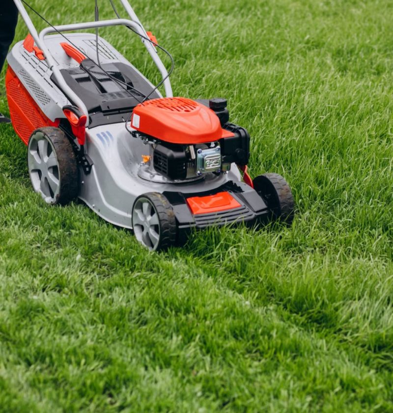 O poder do cortador de grama para o seu jardim