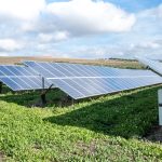 CONSTELAÇÃO FAMILIAR: UM CAMINHO PARA A LIBERAÇÃO DAS ENERGIAS ANCESTRAIS