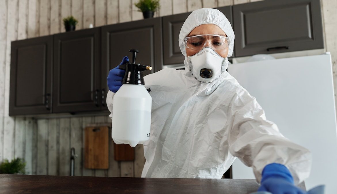 A dedetização comercial qual o prazo pela legislação